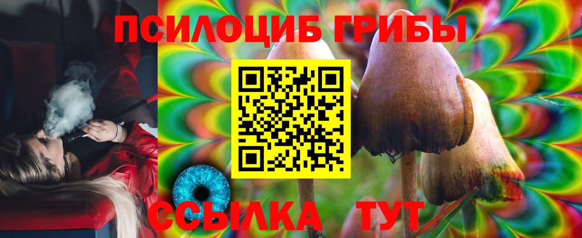 Галлюциногенные грибы Cubensis  Псилоцибиновые грибы Cubensis  продажа наркотиков  Туймазы  Вход с VPN 