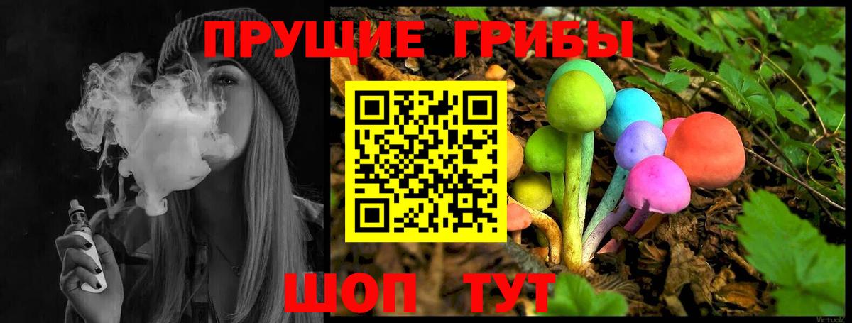 Галлюциногенные грибы Psilocybine cubensis Туймазы